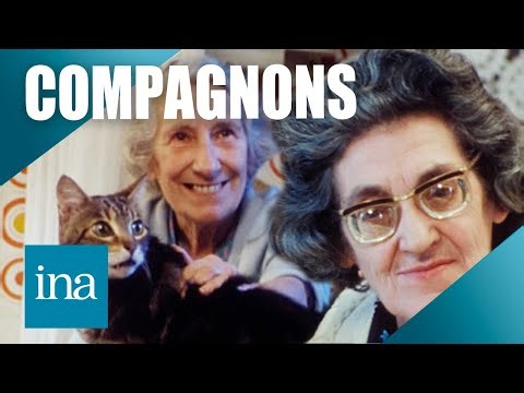 1980 : des animaux pour accompagner la fin de vie 🐈 | INA Officiel