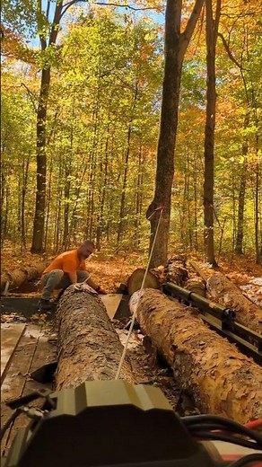 unloading huge logs with winch and snatch block