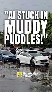 Waymo car can't figure out this flooded road | #driverlesscar