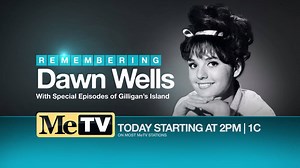 MeTV remembers Dawn Wells today with Gilligan's Island episodes featuring the best of Mary Ann. During the commercial breaks, see segments we filmed with Dawn at the MeTV studios. Tune in today starting at 2P | 1C on MeTV. | MeTV