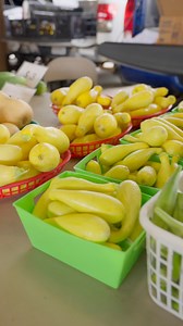 It's a great weekend to visit the Coastal Alabama Farmers and Fishermens Market! Don't forget the market is up for a Newsweek Reader's Choice Award for Best Farmers Market! You can vote once a day here: https://www.newsweek.com/readerschoice/best-farmers-market-2025 #visitfoley #farmersmarket #shoplocal | Visit Foley Alabama