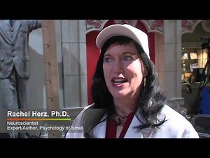 2019 Odor-Eaters Rotten Sneaker Contest