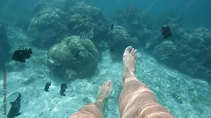 female feet swimming underwater, scuba diving, swim with coral fish, beauty nature, travel water fun