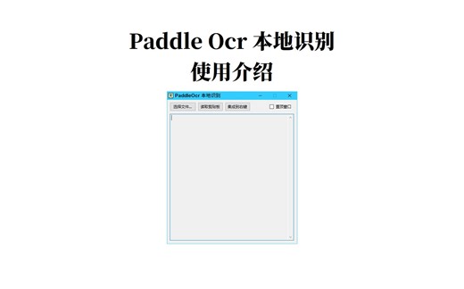 Paddle Ocr 本地识别