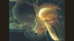 1970s: Model of human brain with lights flashes on and off, the basal ganglia remain lit.