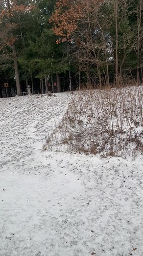 Cold, windy, flurries. They rolled out the white carpet for our return. | The Battle of Mayberry