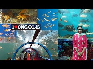 First Tunnel Aquarium In Ongole | SS Underwater Fish Tunnel Expo