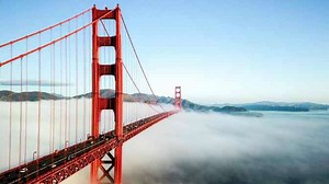 Can You Trap, Hunt And Kill Squirrels In California?