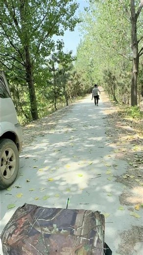 This is an underrated hunting compound bow; it's surprisingly accurate! #archery #outdoors #hunting