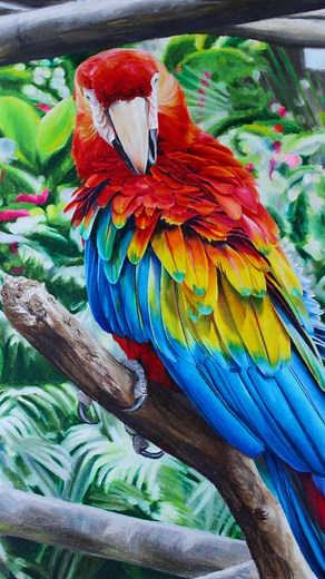 13K views · 324 reactions | This is what 119 colored pencils can turn into✨ I am so proud of this drawing and my artistic process of creating it✍️ Layer by layer, color by color, this really turn out to be a beautiful piece of art I use @prismacolor premier soft core colored pencils and @strathmoreart toned tan paper. All purchased at @blickartmaterials | Deely Drawings | Facebook