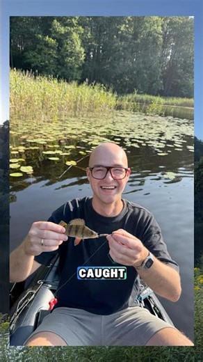 I Caught the Biggest Perch Ever!
