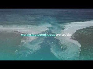 French Polynesia in a Warming World: The Impact of Global Warming