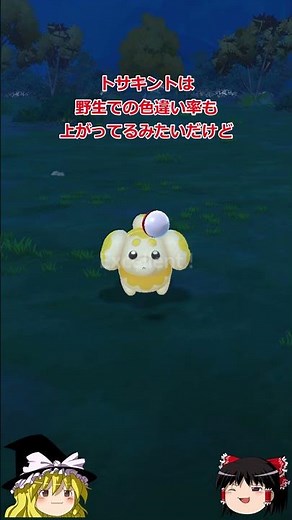 【ポケモンGO】色違いパピモッチをゲットしよう‼「大切な相棒」イベントが開催中‼ #shorts
