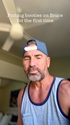 it always makes me laugh when you see a dog put on booties for the first time. Definitely something he needs to get used to but not bad for the first time wearing them. ##bruceofrubydoobydo##brucethedoberman##doberman##dobermann##rubydooby_do##dogsofinstagram##showdogs | Rubydoobydo