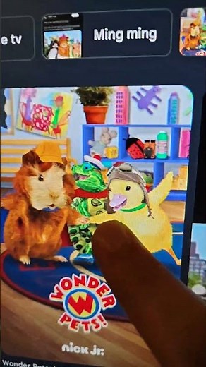 what happened to the OG wonder pets
