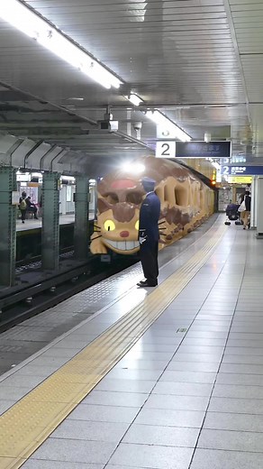 269K views · 1.3K reactions | Totoro Train in  #japanreels #japandaily #japantrip #japan #japanlife #totoro #totorolover #anime #animelover | JAPAN Chu-Hi.CAV | Facebook