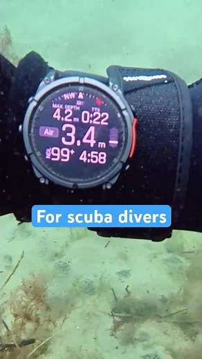 Is the Garmin Fenix 8 the Best Dive Computer for Active Scuba Divers?