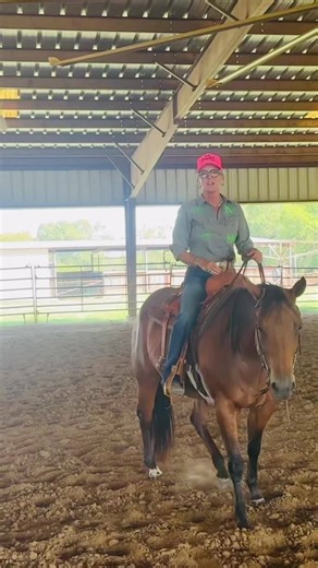 🚨 Rubber bands. Heels down. Foot placement. Everyone’s got an opinion… but here’s the truth nobody told you: Too much heel down locks your knees and hips. That lock shortens your horse’s stride, hollows out their back, and even flips their brain into survival mode. 👉 That’s why your horse feels inconsistent. All. Because. Of. Your. Foot placement. We’ve got the data at Stall High to prove it. One foot adjustment can: ✅ Unlock longer stride ✅ Fill in your horse’s topline ✅ Smooth out their turn