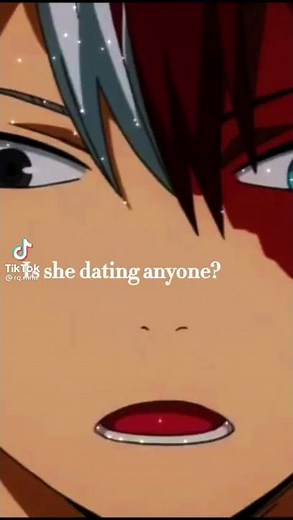 shoto todoroki x y/n video not my