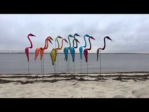 Swirling Birds on the Bay
