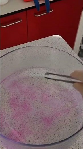 Reaction of potassium with water #Experiment