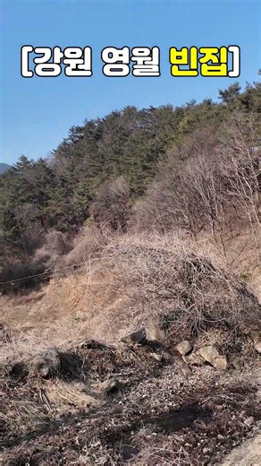 [강원 영월] 오지 빈집 #산속구옥 #산속빈집