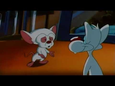 Pinky y Cerebro (Español Latino)