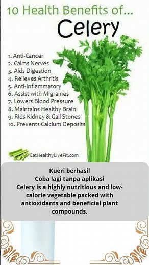 10 notable health benefits of celery