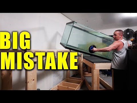 How i built the fish tank stands and moved the aquariums - The ing of DIY