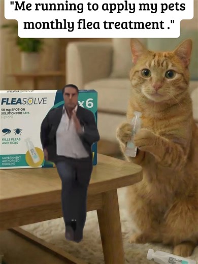Why not grab a year supply to ensure you never have to panic buy your pets monthly flea treatment again!