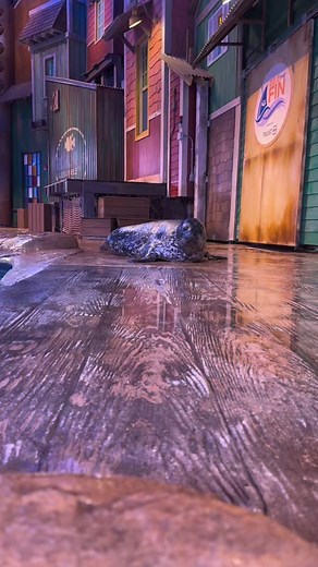 Galumphing ASMR at Georgia Aquarium