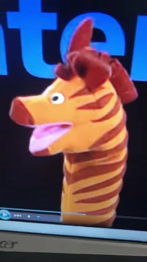 Baby monet fall zebra winter zebra summer zebra