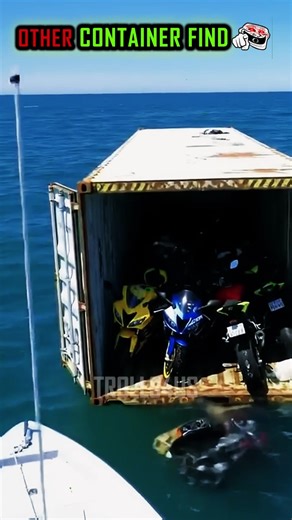 Other container finds Vs. Last one☠️#entertainment #shorts