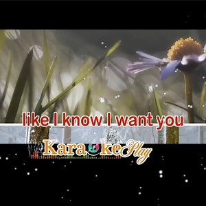 Some Hearts are Diamond - Karaoke Play Chris Norman🎤 | Karaoke Play
