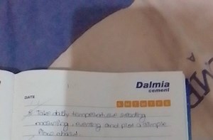 Task:Take daily temperature readings (morning and evening) and... | Filo