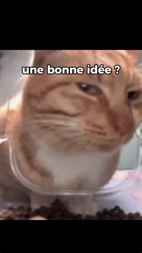 Elle m’a quand même dis « je pense que c’est une bonne idée » #prank #vendeuse #estetique #lille