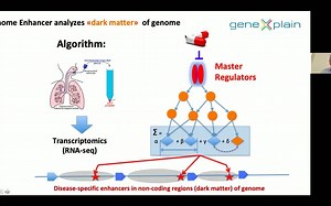 COVID-19 –使用Genome Enhancer在线发现潜在的药物靶标和个体化治疗方案