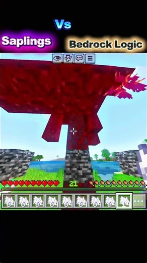 Saplings Vs Bedrock 😂😂 Minecraft #shorts #viral #gaming #trending #minecraft