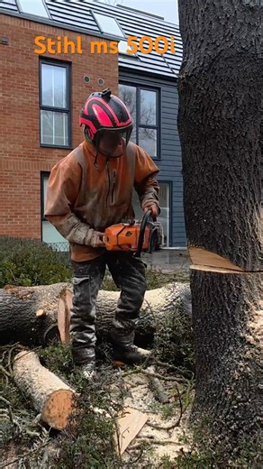 Felling tree with 500i