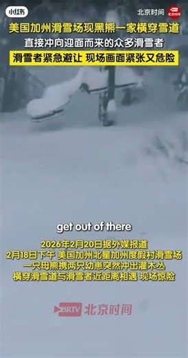 加州滑雪场突遇熊妈妈带娃“飙雪”，是冬眠饿醒了？