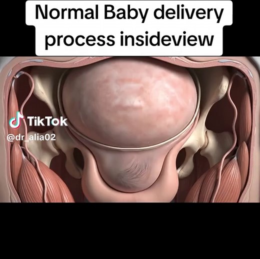 Understanding the Normal Baby Delivery Process
