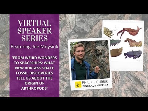 Joe Moysiuk - What New Burgess Shale Fossil Discoveries Tell Us About the Origin of Arthropods