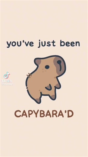 capidara #edit
