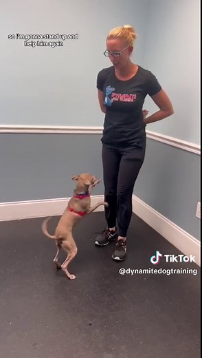 Understanding Dog Humping Behavior: Tips for Dog Owners