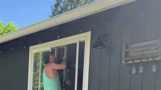 Owners film unique method of clipping cat's claws