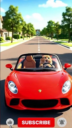 Cat Behind the Wheel 🐾 Fastest Feline Driver Ever! Funny Cat Racing Short