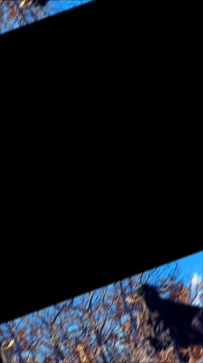 @Karakeçi @Koyun videoları #niğde51 #kayırlıköyü #çobanlar #kangalsevenler #kangal_tr #voiceeffects #keşfetbeniöneçıkar #keşfetteyizzz