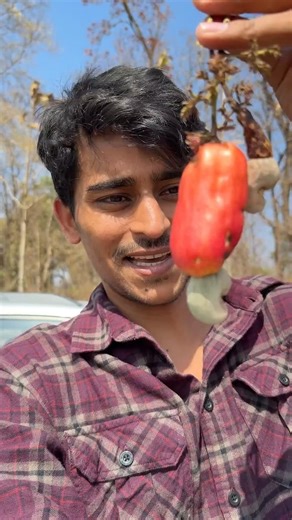 Shivam ko kaju🫒mil gaya🤤😂#ginnipandey #withpandey #kaju #shortsfeed #viral