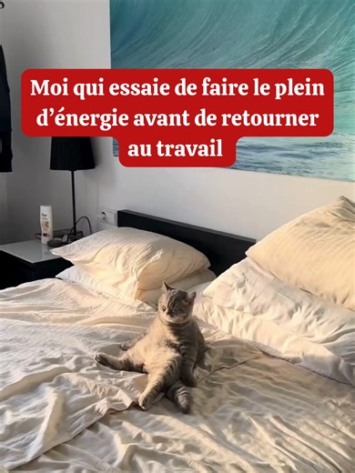 Parce que se recharger avant de retourner au travail, c’est essentiel pour garder énergie et motivation… (et parfois, ça passe par un dernier café au soleil qui dure un peu trop longtemps 👀☀️) Et vous, vous faites comment pour faire le plein avant la reprise ? Dites-nous en commentaire ! #fyp #travail #soleil #chat