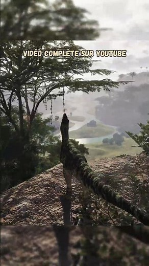 The best place to build a nest? 🦖🏔️